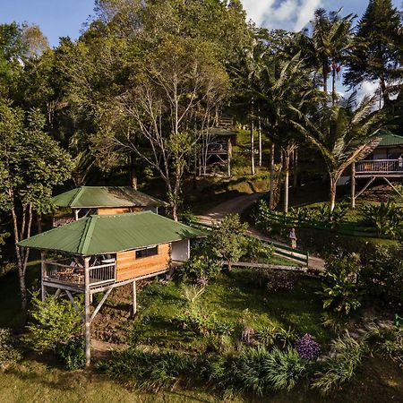 Hotel Kawa Mountain Retreat Salento Kültér fotó Treehouse at the Rainforest Ecolodge