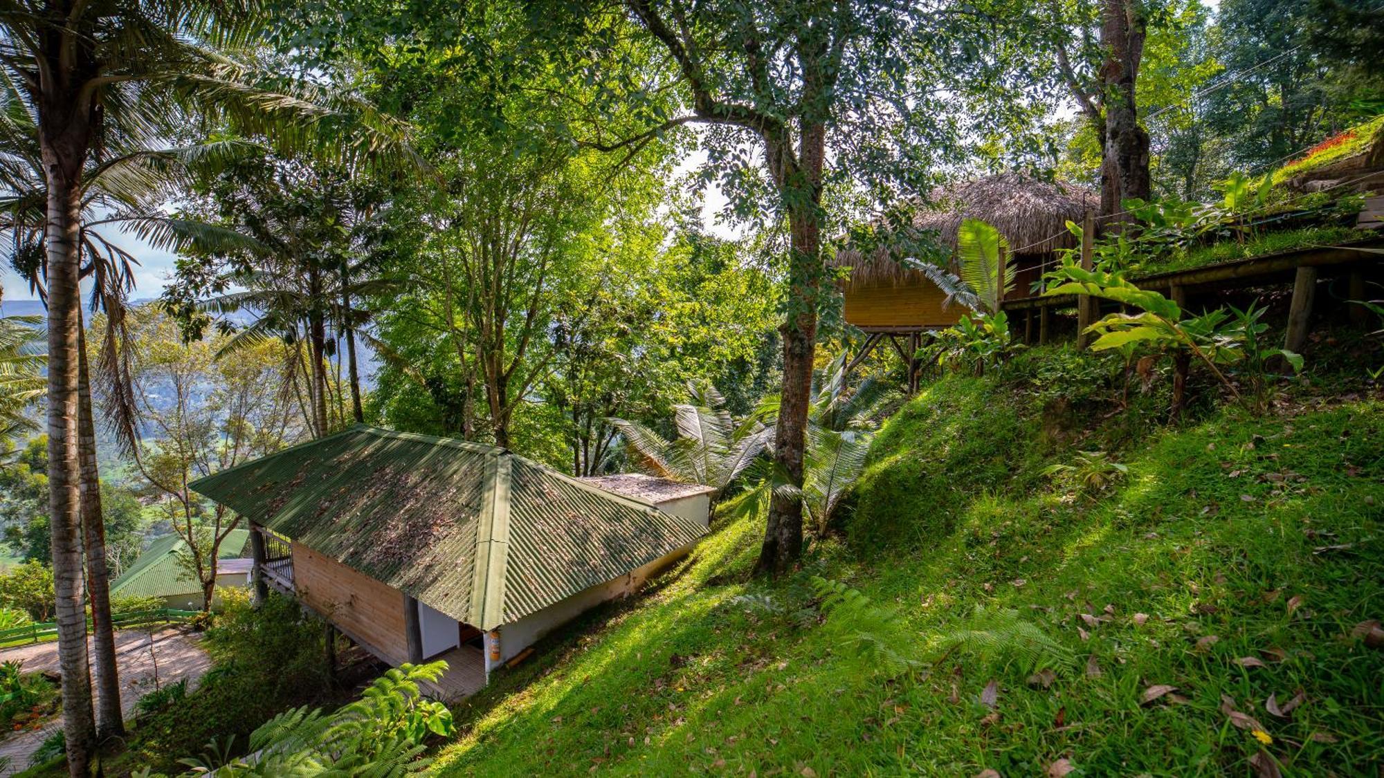 Hotel Kawa Mountain Retreat Salento Kültér fotó Thekkady