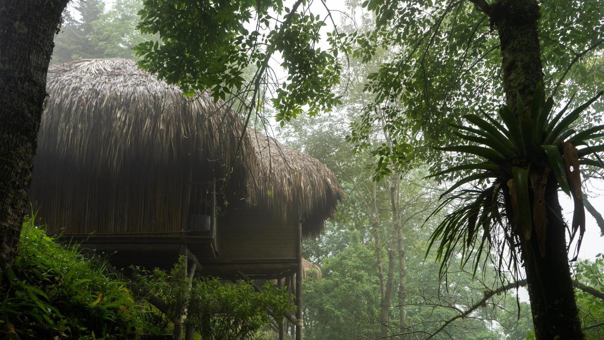 Hotel Kawa Mountain Retreat Salento Kültér fotó The Rainforest Retreat